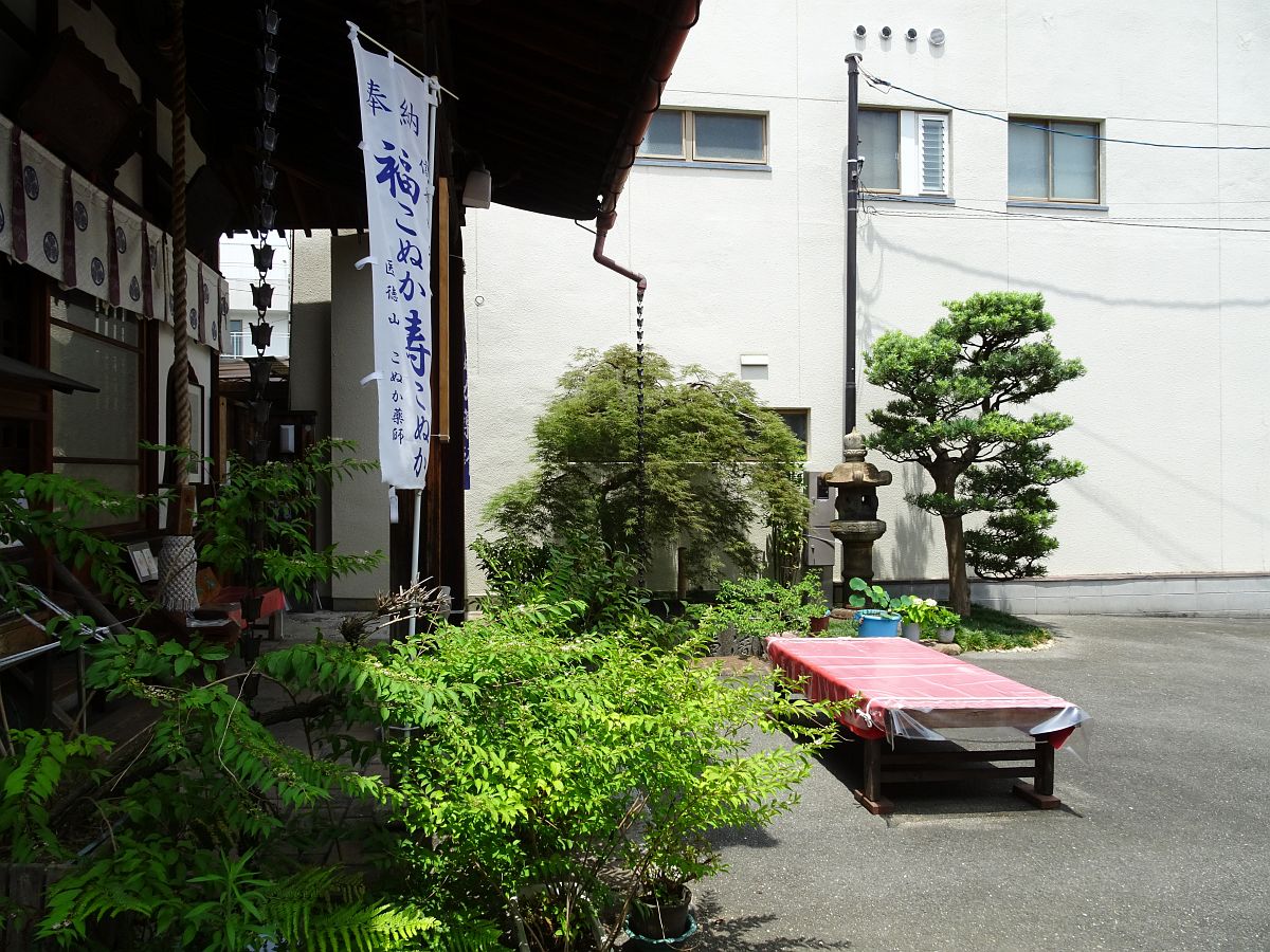 l’enceinte du temple Yakushi-in